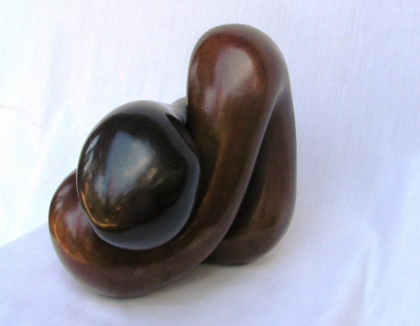 fusionBronce