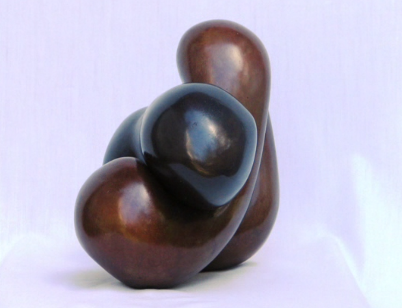  fusionBronce