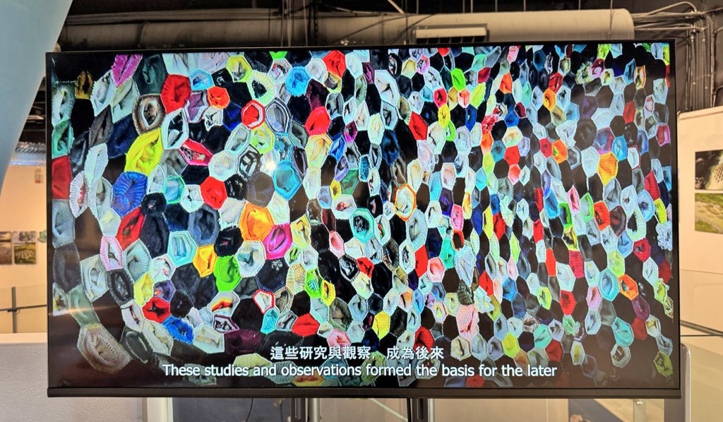 690634704 10239098643098079 6176223352639946578 n 